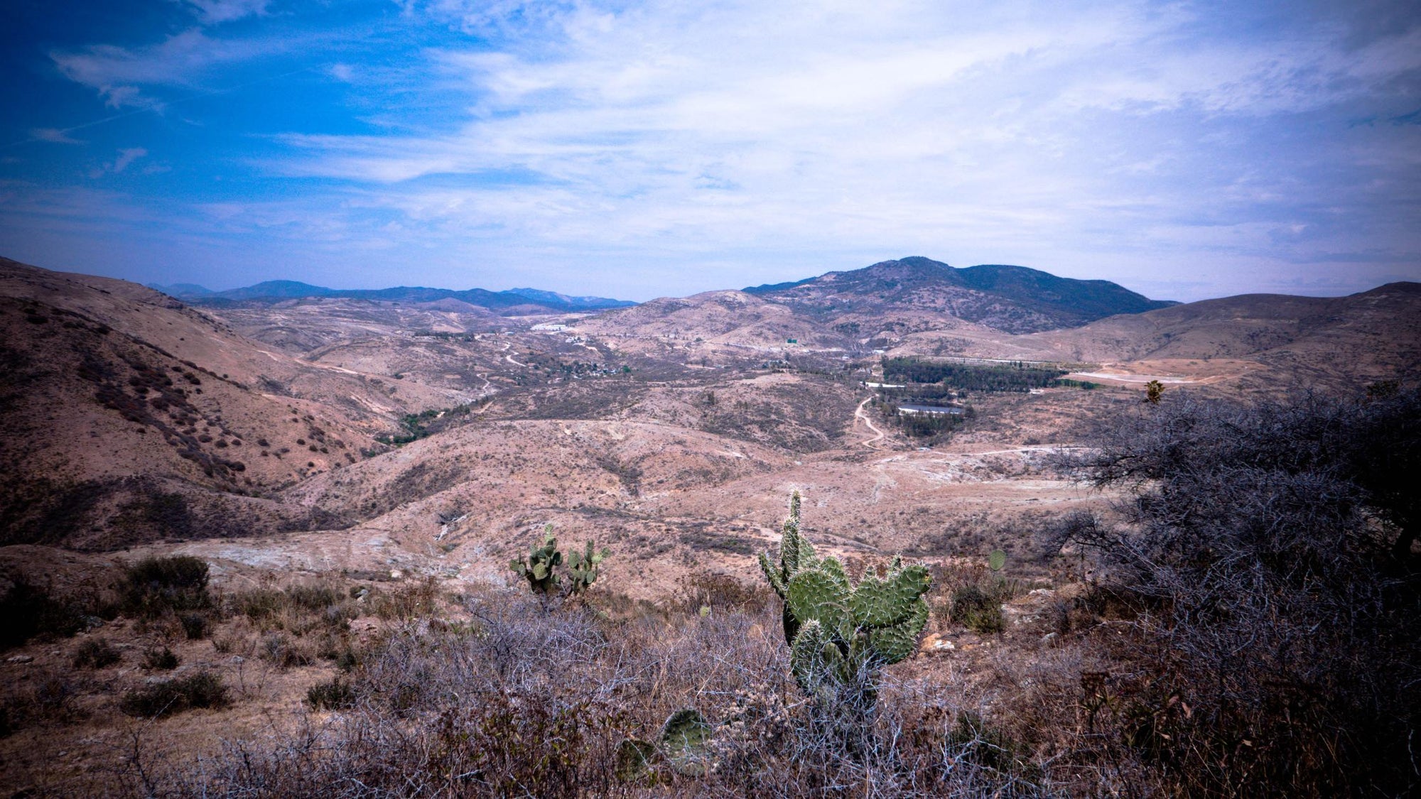 Mexico Guanajuato landscape with cactus and desert